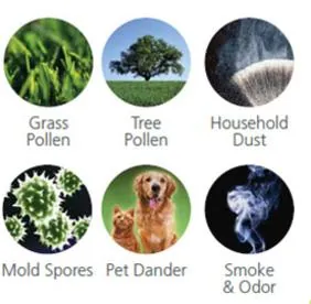 Common indoor allergens: grass pollen, tree pollen, household dust, mold spores, pet dander, smoke and odor