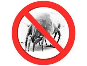 Dust mites do not live in air ducts
